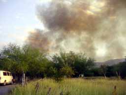 Incendio moviliza a Protección Civil
